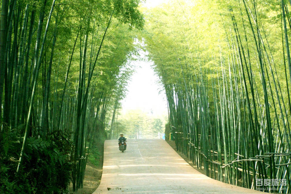 竹王城VR全景