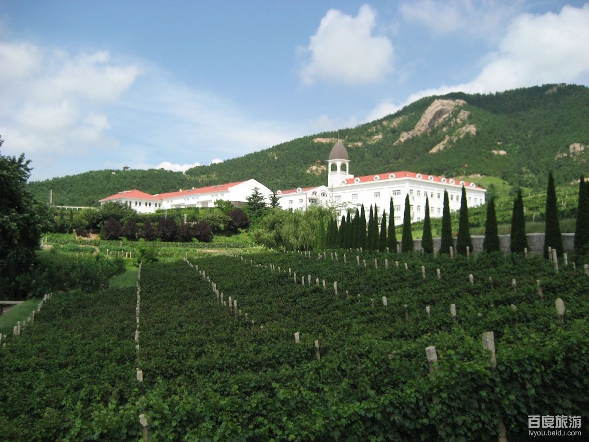 百利酒庄VR全景