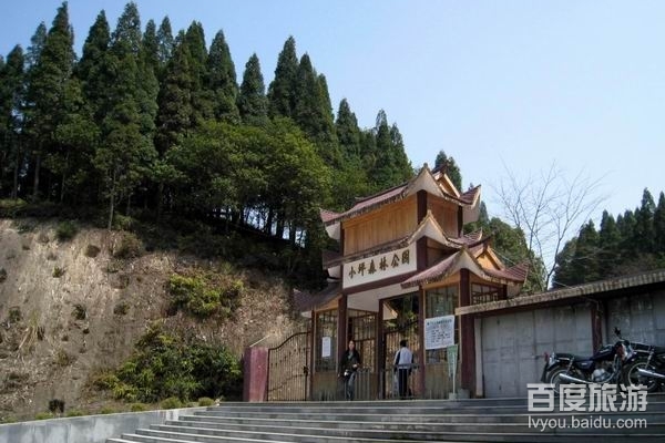 小坪省级森林公园VR全景