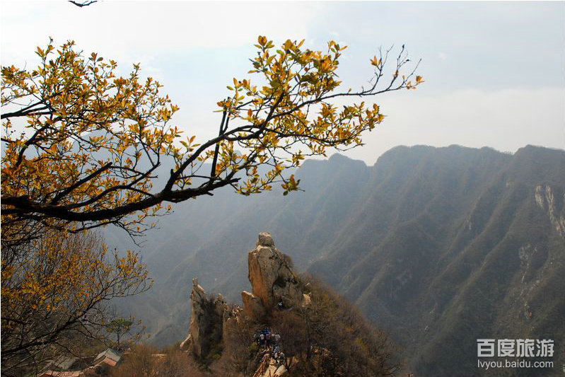 翠华山VR全景