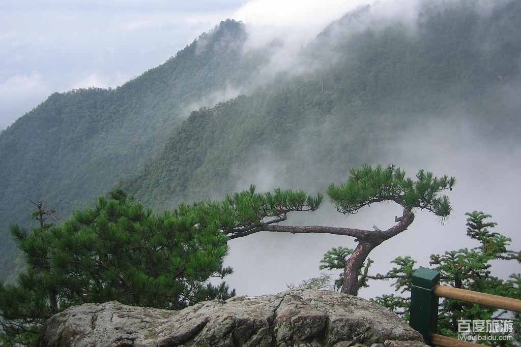 西天目山VR全景