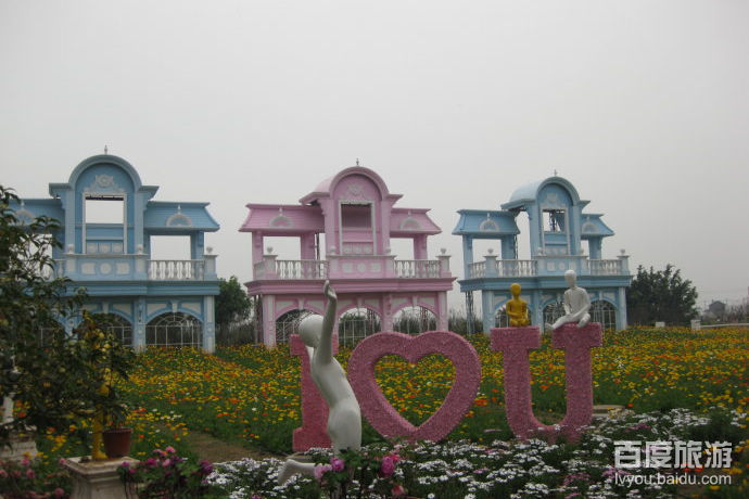 百万葵园VR全景