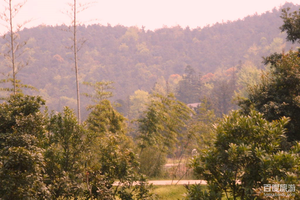 龙寺生态园VR全景