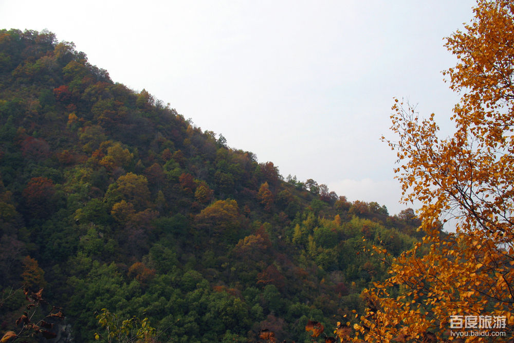 大茂山VR全景