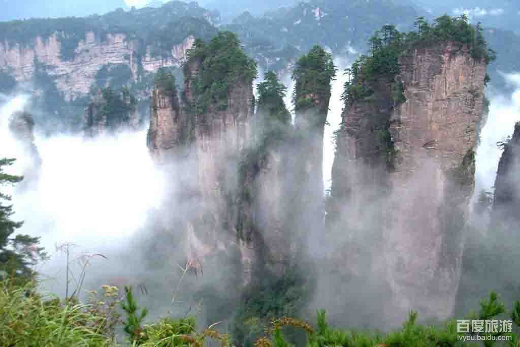 石柱黄水森林公园VR全景