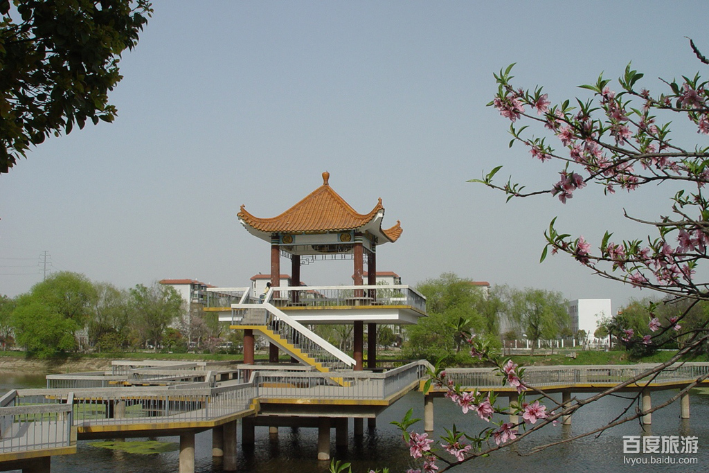 湖北大学VR全景