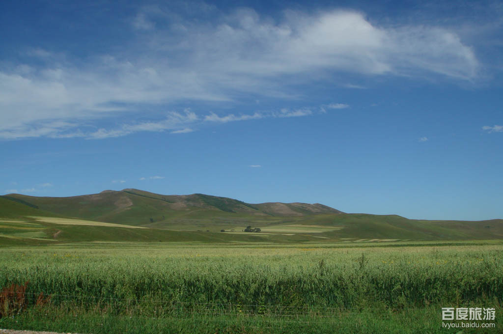 京西草原VR全景