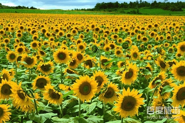 丰乐农庄VR全景