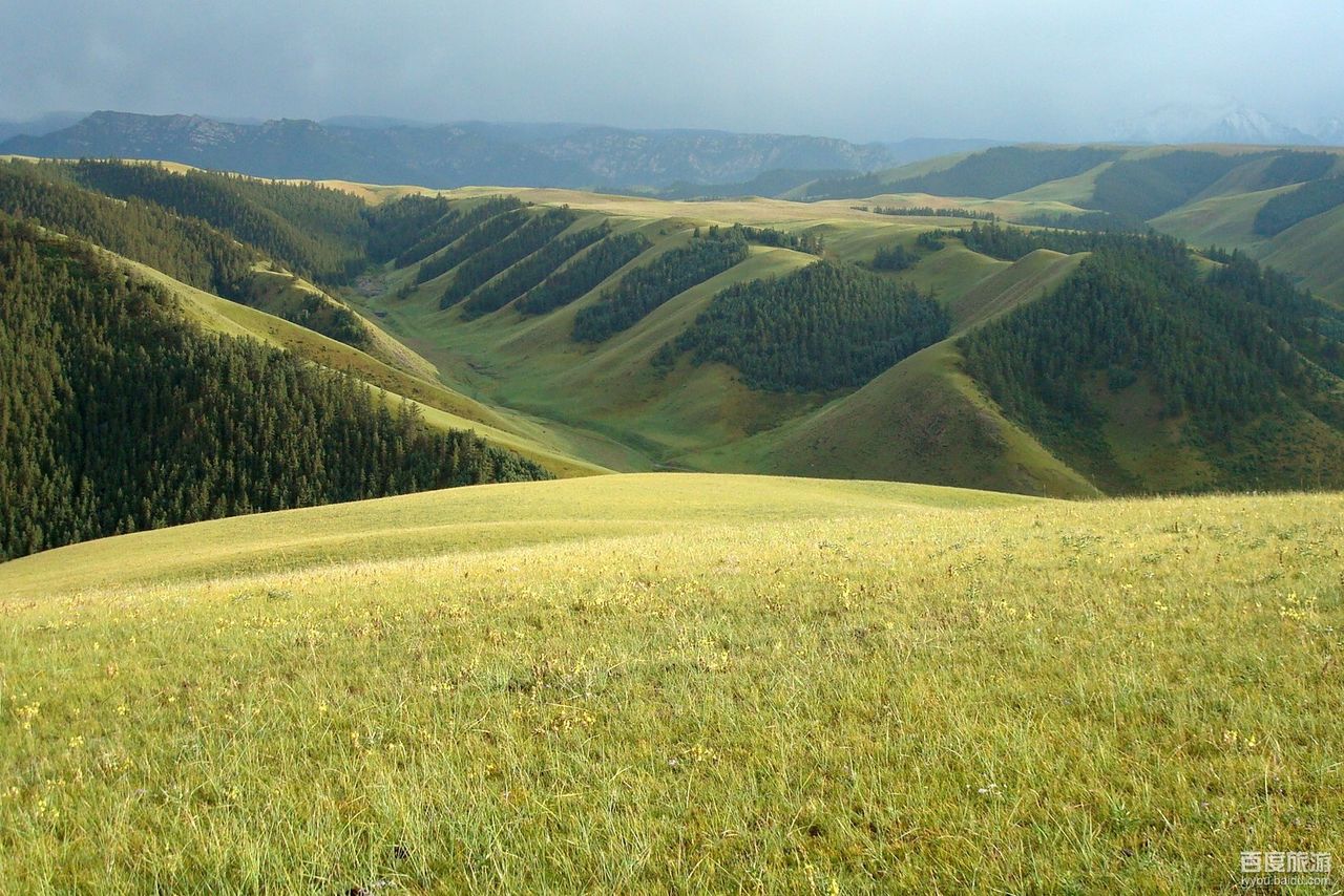 西路军纪念塔VR全景