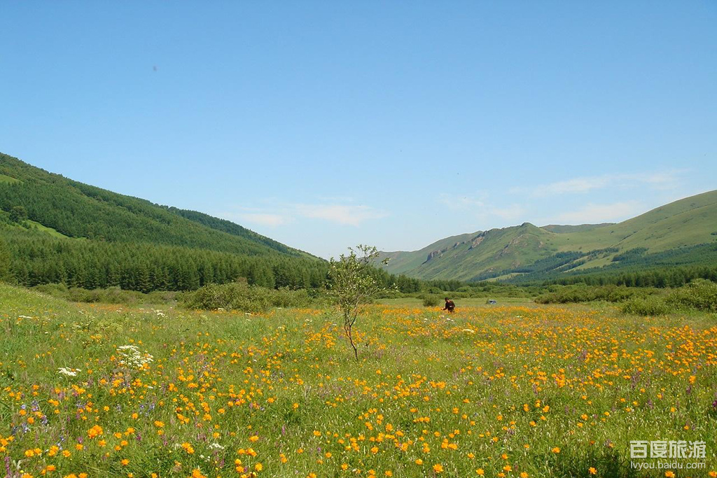 闪电河草原VR全景