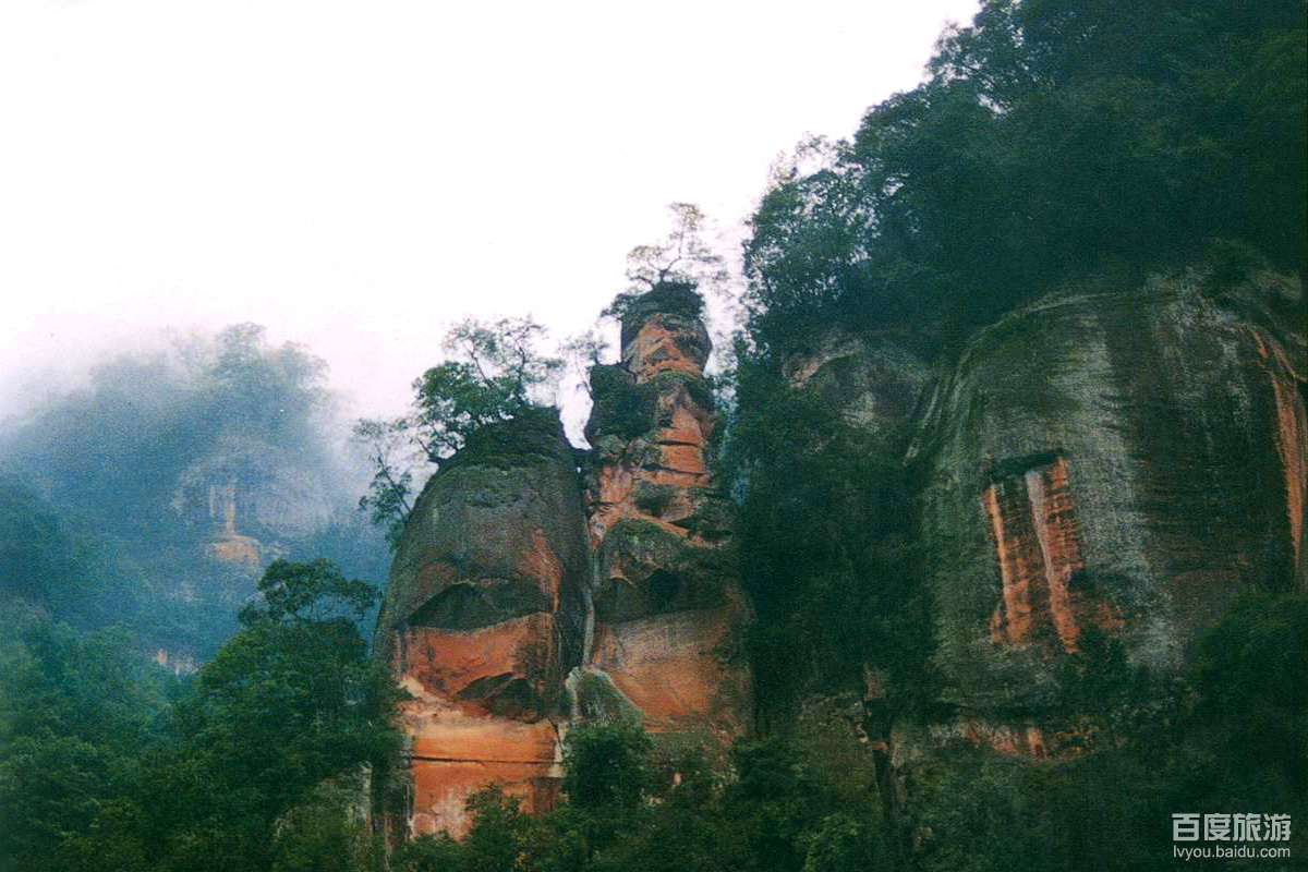 习水中亚热带常绿阔叶林VR全景