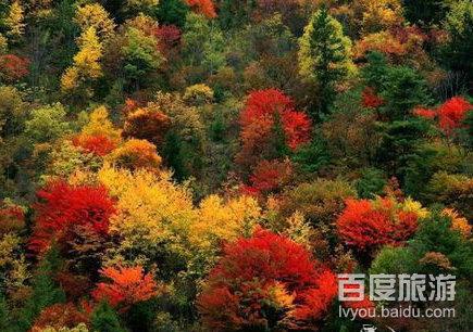 龙潭山VR全景