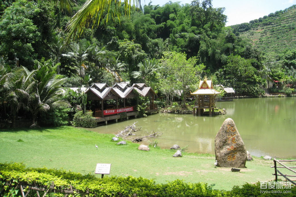 热带花卉园VR全景