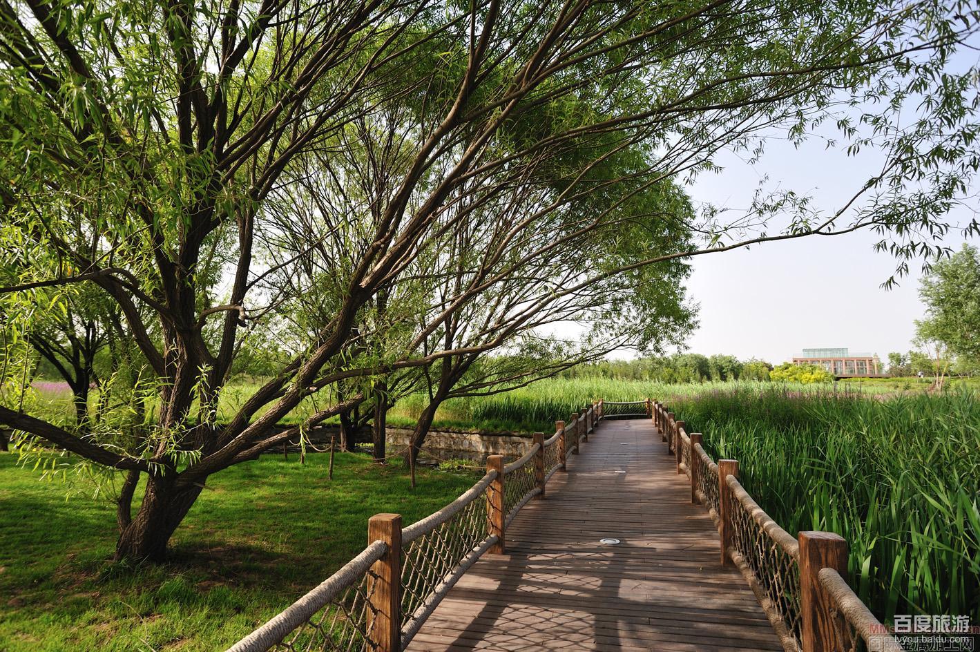 奥林匹克森林公园VR全景