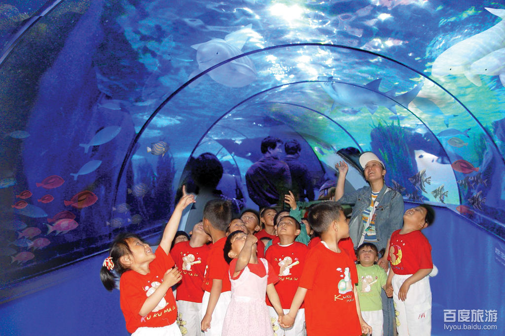 蓬莱极地海洋世界VR全景