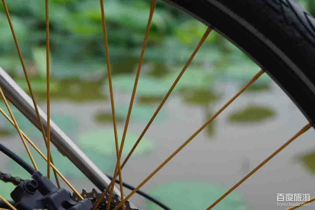 富顺西湖VR全景