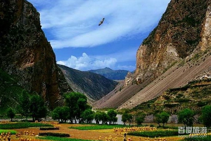 当周草地公园VR全景