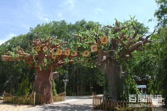 野核桃林VR全景