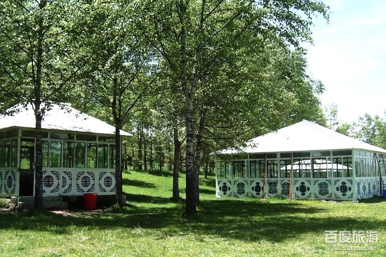 合作森林公园VR全景