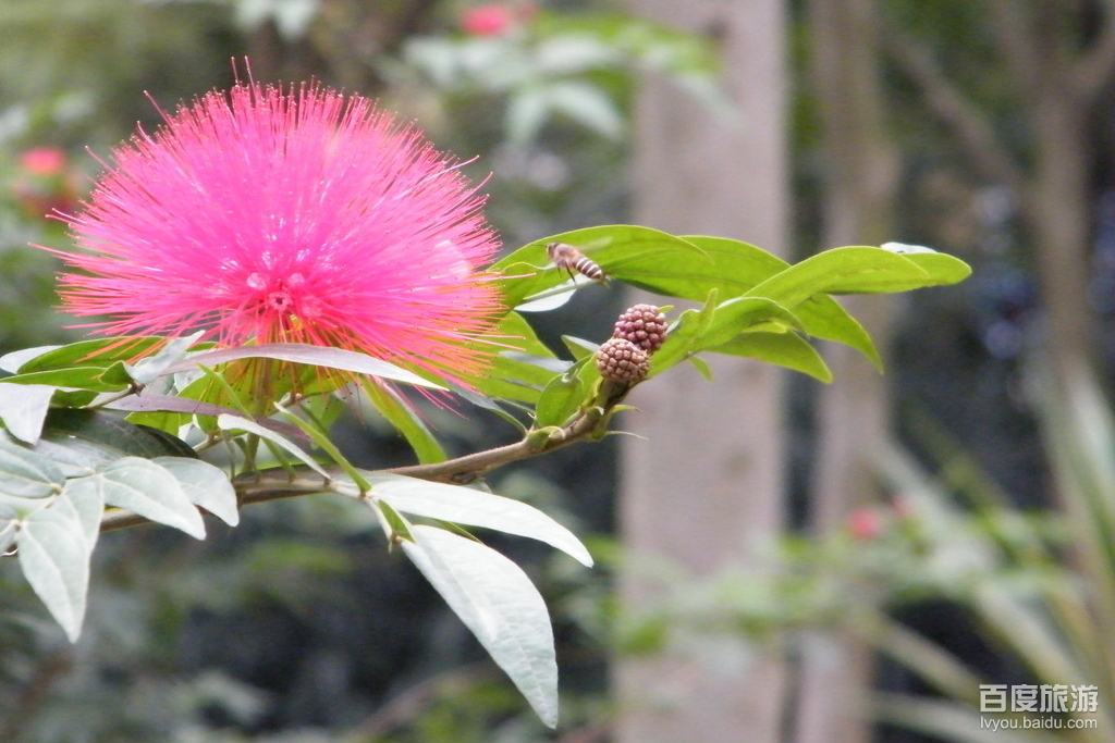 天河公园VR全景