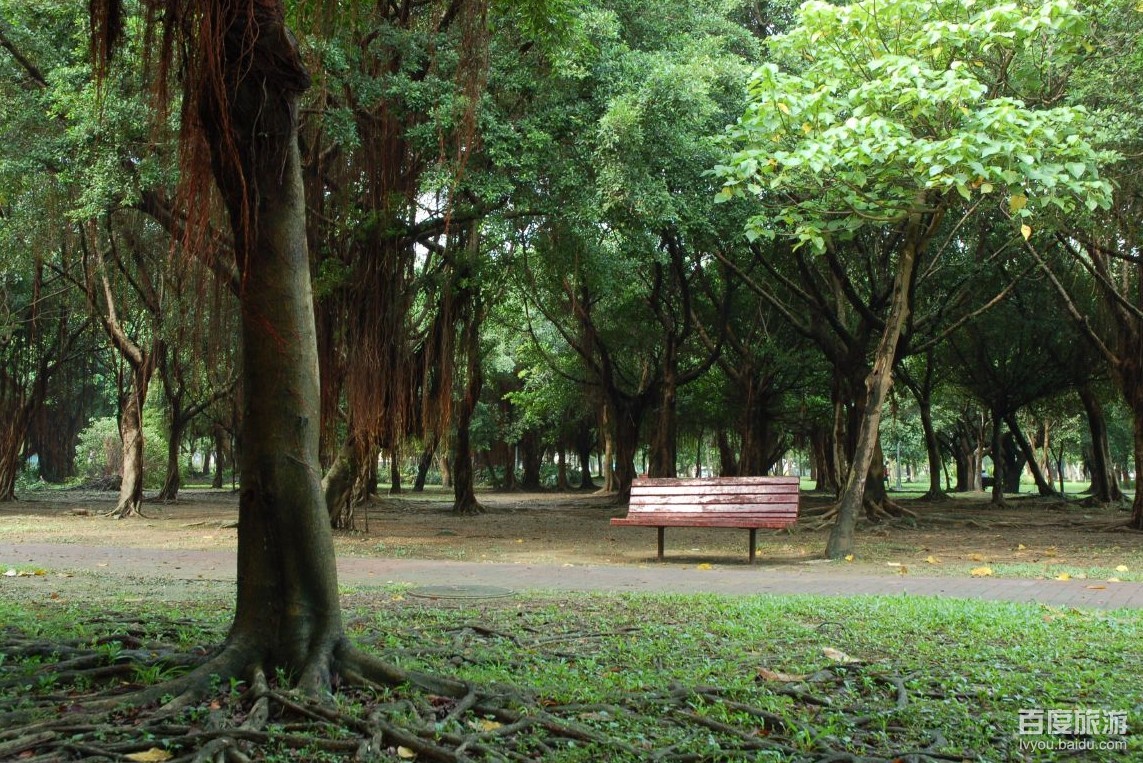 张掖市森林公园VR全景