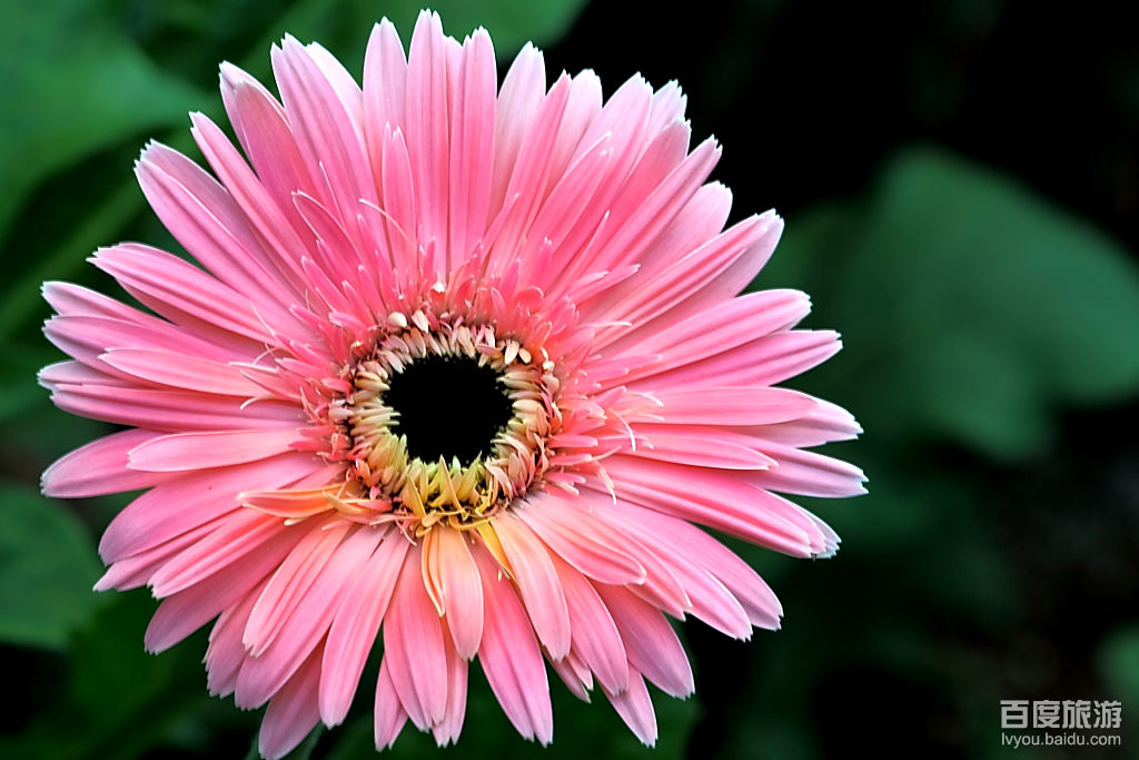 云台花园VR全景