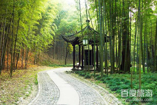 云栖竹径VR全景